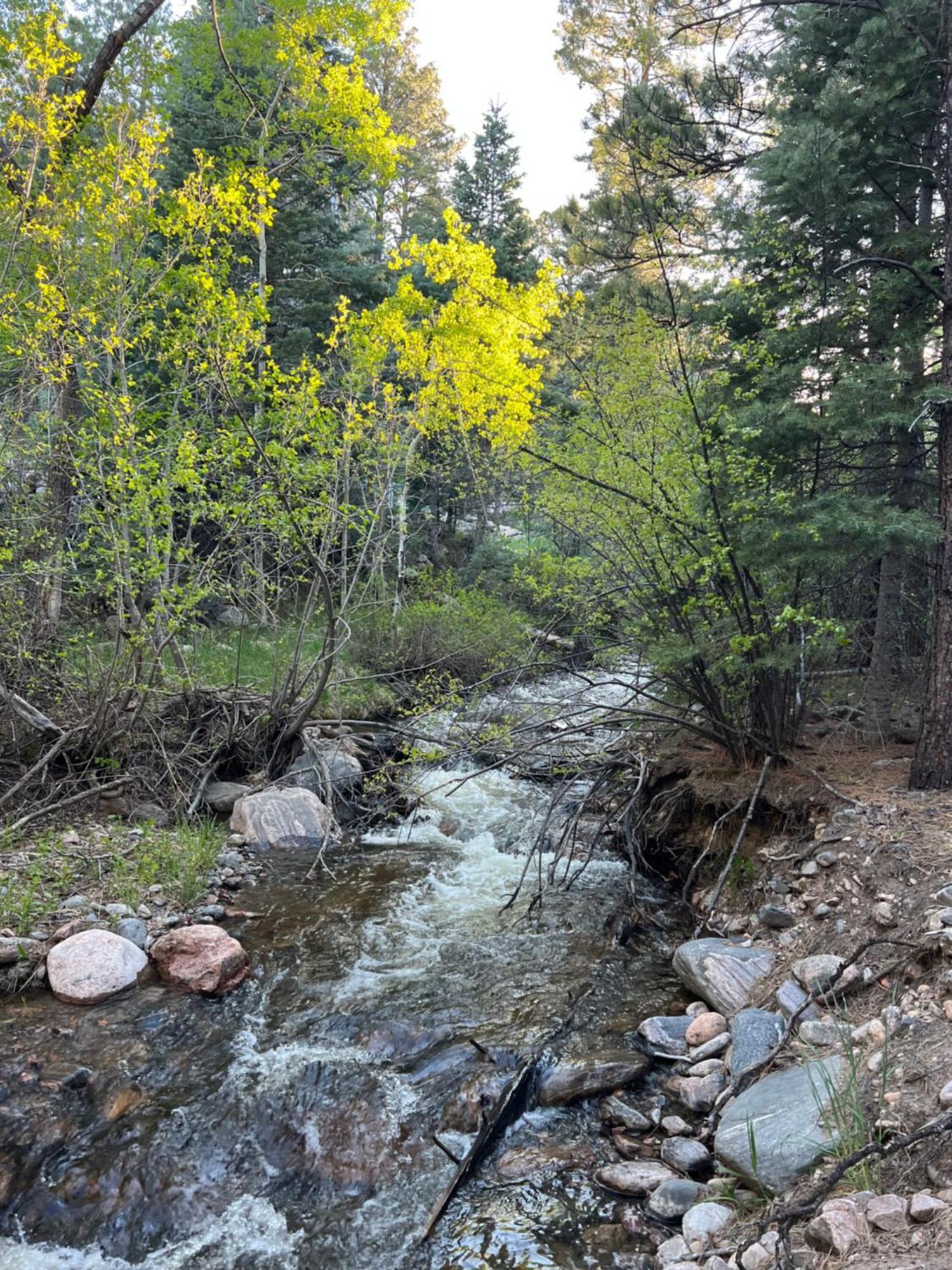 Cozy Cabin On The Creek Colorado City エクステリア 写真